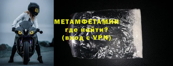 индика Богородск