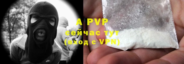 apvp Богородицк