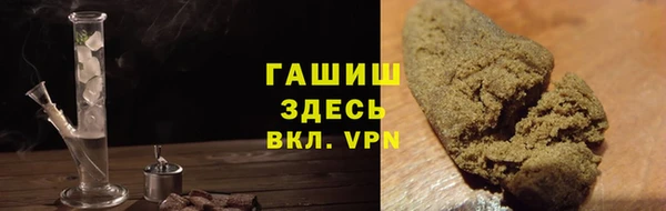 индика Богородск