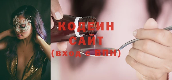 индика Богородск