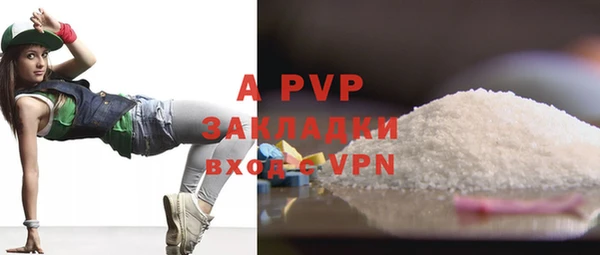 индика Богородск