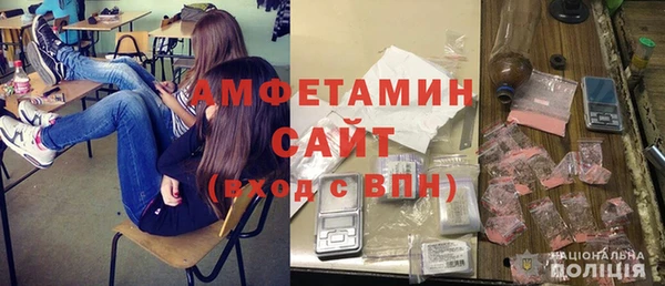 индика Богородск