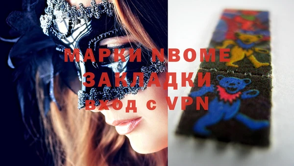 индика Богородск