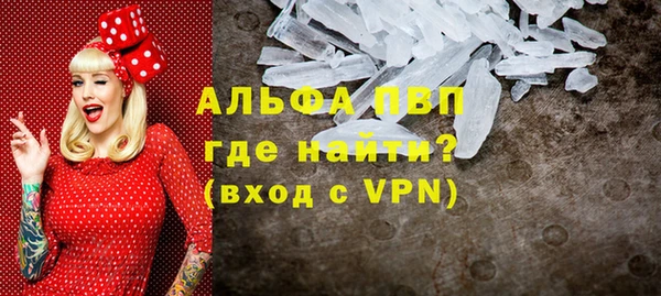 индика Богородск
