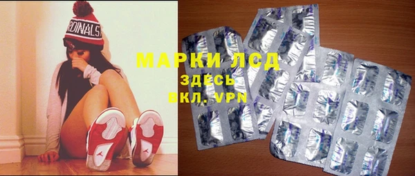 индика Богородск