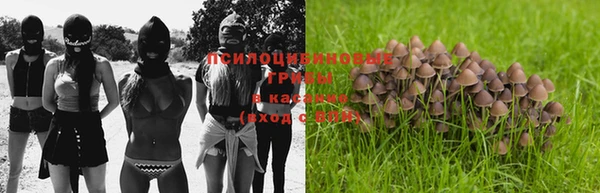 apvp Богородицк