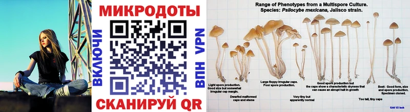kraken tor  Новоузенск  Галлюциногенные грибы ЛСД 
